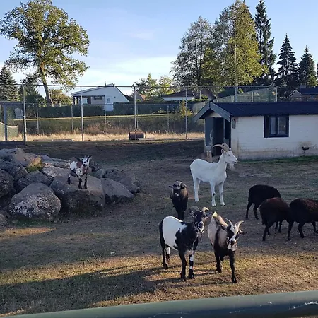 Haus 30 By Interhome * Gerolstein