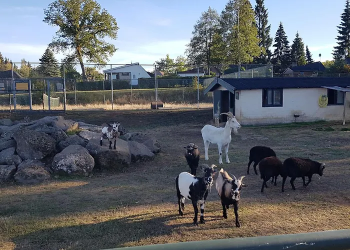 Haus 30 By Interhome * Gerolstein